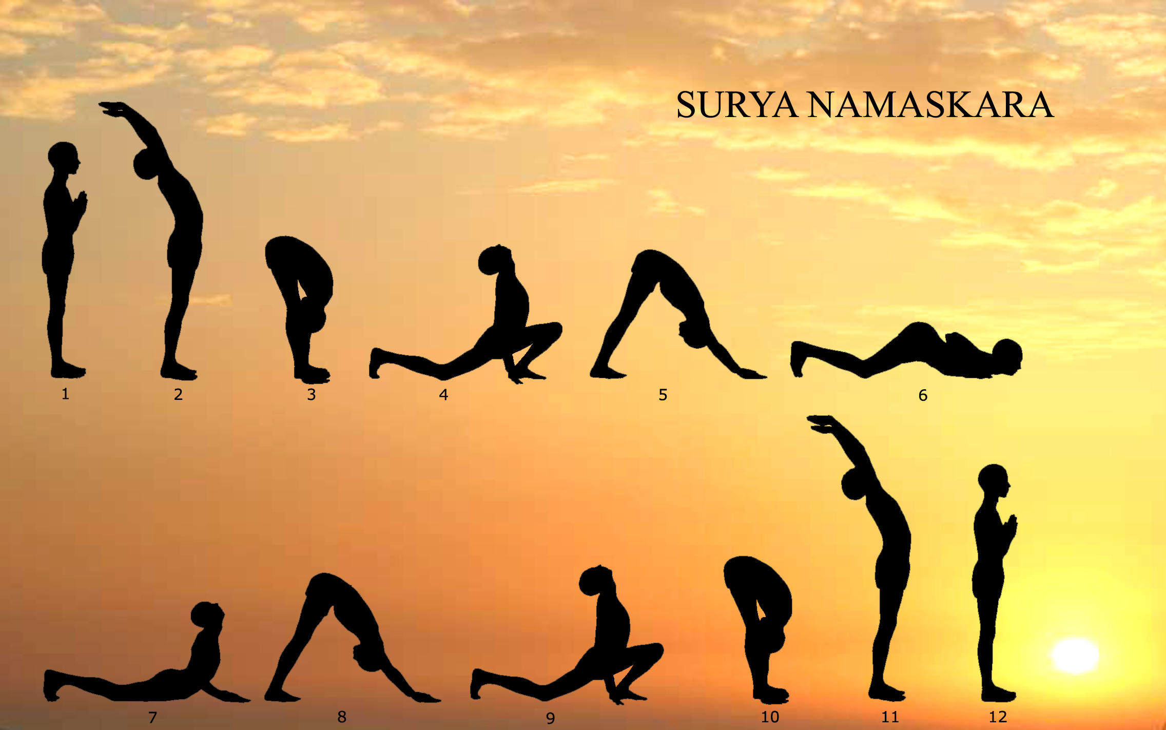 Yoga-Sun-Salutation-Surya-Namaskar2